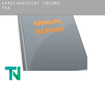 Cardiganshire County  income tax