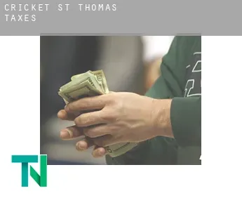 Cricket St Thomas  taxes