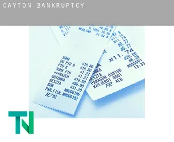 Cayton  bankruptcy