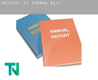 Cricket St Thomas  bill