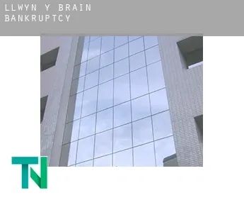 Llwyn-y-brain  bankruptcy