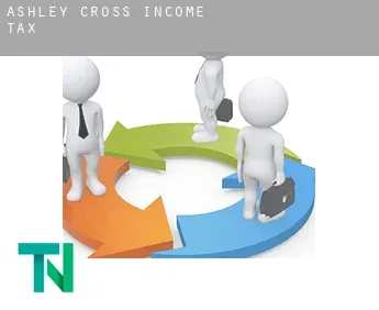 Ashley Cross  income tax