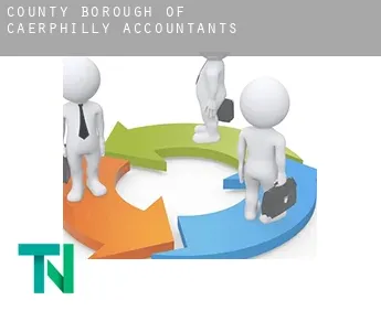 Caerphilly (County Borough)  accountants