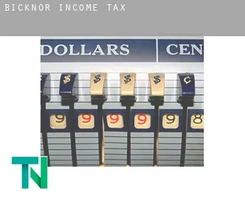 Bicknor  income tax