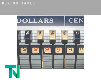 Boyton  taxes