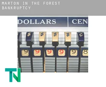 Marton in the Forest  bankruptcy