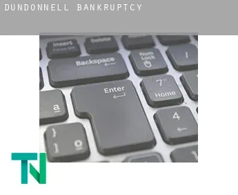 Dundonnell  bankruptcy