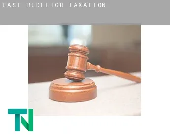 East Budleigh  taxation