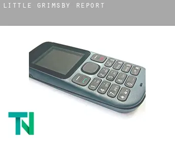 Little Grimsby  report