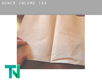 Gower  income tax