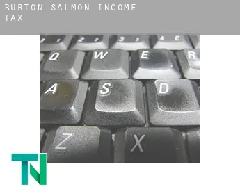 Burton Salmon  income tax