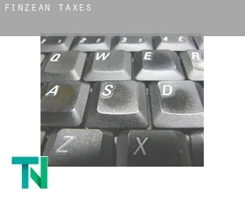 Finzean  taxes