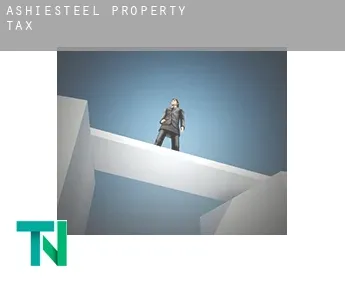 Ashiesteel  property tax