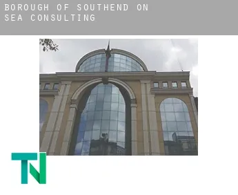 Southend-on-Sea (Borough)  consulting