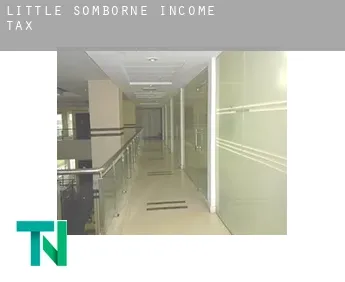 Little Somborne  income tax