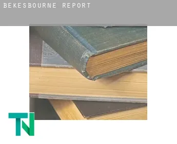 Bekesbourne  report
