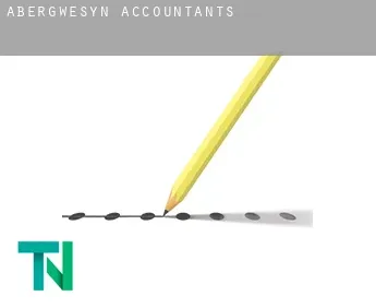 Abergwesyn  accountants