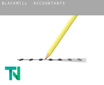 Blackmill  accountants