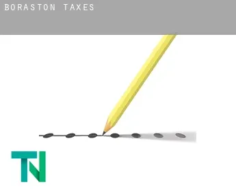 Boraston  taxes
