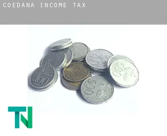 Coedana  income tax