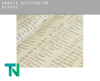 Abbots Bickington  report