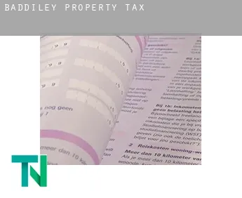 Baddiley  property tax