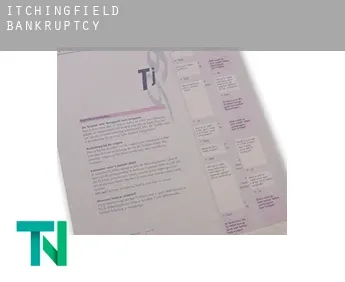 Itchingfield  bankruptcy