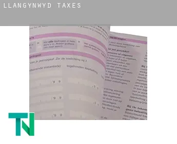 Llangynwyd  taxes