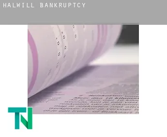 Halwill  bankruptcy