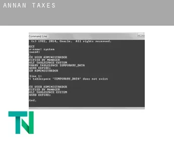 Annan  taxes