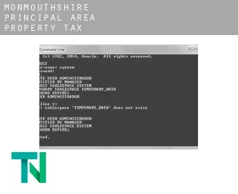 Monmouthshire principal area  property tax