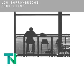 Low Borrowbridge  consulting