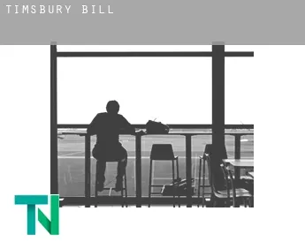 Timsbury  bill