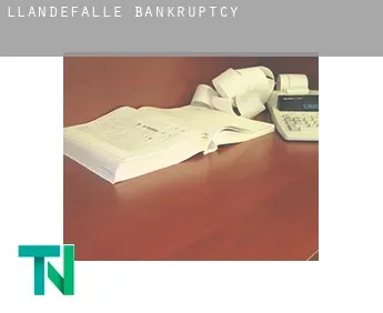 Llandefalle  bankruptcy